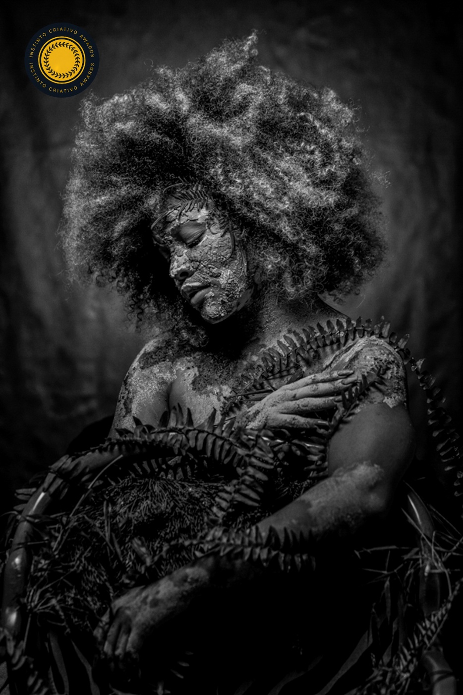 FOTOS PREMIADAS 2024